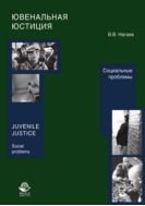 Ювенальная юстиция. Социальные проблемы