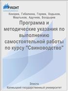 Программа и методические указания по выполнению самостоятельной работы по курсу 