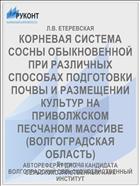 КОРНЕВАЯ СИСТЕМА СОСНЫ ОБЫКНОВЕННОЙ ПРИ РАЗЛИЧНЫХ СПОСОБАХ ПОДГОТОВКИ ПОЧВЫ И РАЗМЕЩЕНИИ КУЛЬТУР НА ПРИВОЛЖСКОМ ПЕСЧАНОМ МАССИВЕ (ВОЛГОГРАДСКАЯ ОБЛАСТЬ)