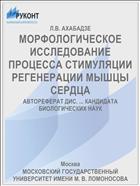 МОРФОЛОГИЧЕСКОЕ ИССЛЕДОВАНИЕ ПРОЦЕССА СТИМУЛЯЦИИ РЕГЕНЕРАЦИИ МЫШЦЫ СЕРДЦА