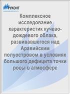 Комплексное исследование характеристик кучево-дождевого облака, развивавшегося над Аравийским полуостровом в условиях большого дефицита точки росы в атмосфере