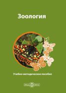 Зоология
