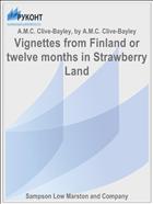 Vignettes from Finland or twelve months in Strawberry Land