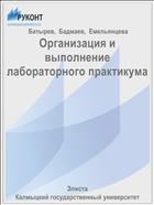 Организация и выполнение лабораторного практикума