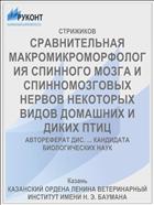 СРАВНИТЕЛЬНАЯ МАКРОМИКРОМОРФОЛОГИЯ СПИННОГО МОЗГА И СПИННОМОЗГОВЫХ НЕРВОВ НЕКОТОРЫХ ВИДОВ ДОМАШНИХ И ДИКИХ ПТИЦ