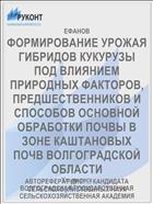 ФОРМИРОВАНИЕ УРОЖАЯ ГИБРИДОВ КУКУРУЗЫ ПОД ВЛИЯНИЕМ ПРИРОДНЫХ ФАКТОРОВ, ПРЕДШЕСТВЕННИКОВ И СПОСОБОВ ОСНОВНОЙ ОБРАБОТКИ ПОЧВЫ В ЗОНЕ КАШТАНОВЫХ ПОЧВ ВОЛГОГРАДСКОЙ ОБЛАСТИ
