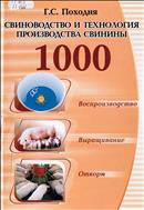 Свиноводство и технология производства свинины