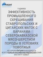 ЭФФЕКТИВНОСТЬ ПРОМЫШЛЕННОГО СКРЕЩИВАНИЯ СТАВРОПОЛЬСКИХ И ЦИГАЙСКИХ МАТОК С БАРАНАМИ СЕВЕРОКАВКАЗСКОЙ МЯСО-ШЕРСТНОЙ ПОРОДЫ В УСЛОВИЯХ ПОВОЛЖЬЯ