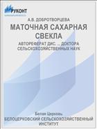 МАТОЧНАЯ САХАРНАЯ СВЕКЛА