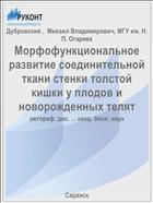 Морфофункциональное развитие соединительной ткани стенки толстой кишки у плодов и новорожденных телят