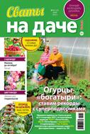 Сваты на даче