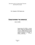 Анатомия человека (курс лекций)