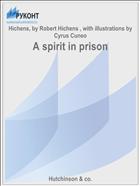 A spirit in prison