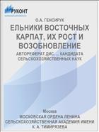 ЕЛЬНИКИ ВОСТОЧНЫХ КАРПАТ, ИХ РОСТ И ВОЗОБНОВЛЕНИЕ