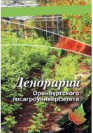 Дендрарий Оренбургского госагроуниверситета