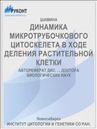 ДИНАМИКА МИКРОТРУБОЧКОВОГО ЦИТОСКЕЛЕТА В ХОДЕ ДЕЛЕНИЯ РАСТИТЕЛЬНОЙ КЛЕТКИ