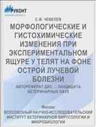 МОРФОЛОГИЧЕСКИЕ И ГИСТОХИМИЧЕСКИЕ ИЗМЕНЕНИЯ ПРИ ЭКСПЕРИМЕНТАЛЬНОМ ЯЩУРЕ У ТЕЛЯТ НА ФОНЕ ОСТРОЙ ЛУЧЕВОЙ БОЛЕЗНИ