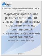 Морфофункциональное развитие летательной мышцы восковой железы и механизм генетико-популяционной изменчивости бурзянской бортевой пчелы