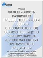 ЭФФЕКТИВНОСТЬ РАЗЛИЧНЫХ ПРЕДШЕСТВЕННИКОВ И ЗВЕНЬЕВ СЕВООБОРОТОВ ПОД ОЗИМУЮ ПШЕНИЦУ ПО ЧЕРНОМУ ПАРУ НА ЧЕРНОЗЕМАХ ЮЖНЫХ ОРЕНБУРГСКОГО ПРЕДУРАЛЬЯ