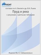 Пруд и река