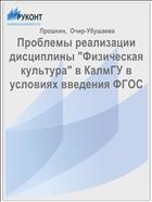 Проблемы реализации дисциплины 