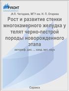 Рост и развитие стенки многокамерного желудка у телят черно-пестрой породы новорожденного этапа