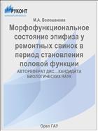 Морфофункциональное состояние эпифиза у ремонтных свинок в период становления половой функции 