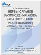 НЕРВЫ ОРГАНОВ РАЗМНОЖЕНИЯ ХРЯКА (АНАТОМИЧЕСКОЕ ИССЛЕДОВАНИЕ)