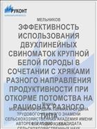 ЭФФЕКТИВНОСТЬ ИСПОЛЬЗОВАНИЯ ДВУХЛИНЕЙНЫХ СВИНОМАТОК КРУПНОЙ БЕЛОЙ ПОРОДЫ В СОЧЕТАНИИ С ХРЯКАМИ РАЗНОГО НАПРАВЛЕНИЯ ПРОДУКТИВНОСТИ ПРИ ОТКОРМЕ ПОТОМСТВА НА РАЦИОНАХ РАЗНОГО ТИПА