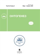 Онтогенез