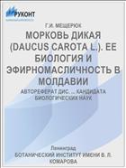 МОРКОВЬ ДИКАЯ (DAUCUS CAROTA L.). ЕЕ БИОЛОГИЯ И ЭФИРНОМАСЛИЧНОСТЬ В МОЛДАВИИ
