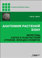 Анатомия растений Эзау. Меристемы, клетки и ткани растений: строение, функции и развитие