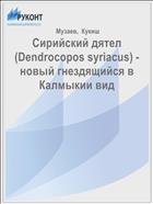 Сирийский дятел (Dendrocopos syriacus) - новый гнездящийся в Калмыкии вид