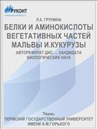 БЕЛКИ И АМИНОКИСЛОТЫ ВЕГЕТАТИВНЫХ ЧАСТЕЙ МАЛЬВЫ И.КУКУРУЗЫ