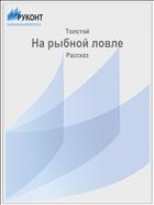 На рыбной ловле