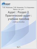 Аудит : Раздел 2. Практический аудит : учебное пособие