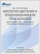 БИОЛОГИЯ ЦВЕТЕНИЯ И ПЛОДОНОШЕНИЯ ЕЛИ ТЯНЬ-ШАНСКОЙ