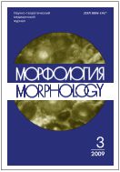 Морфология №3 2009