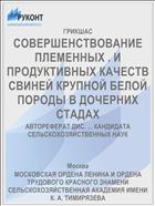 СОВЕРШЕНСТВОВАНИЕ ПЛЕМЕННЫХ . И ПРОДУКТИВНЫХ КАЧЕСТВ СВИНЕЙ КРУПНОЙ БЕЛОЙ ПОРОДЫ В ДОЧЕРНИХ СТАДАХ