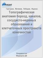 Топографическая анатомия борозд, каналов, сосудисто-нервных образований и клетчаточных пространств конечностей