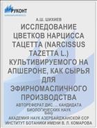 ИССЛЕДОВАНИЕ ЦВЕТКОВ НАРЦИССА ТАЦЕТТА (NARCISSUS TAZETTA L.) КУЛЬТИВИРУЕМОГО НА АПШЕРОНЕ, КАК СЫРЬЯ ДЛЯ ЭФИРНОМАСЛИЧНОГО ПРОИЗВОДСТВА