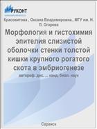 Морфология и гистохимия эпителия слизистой оболочки стенки толстой кишки крупного рогатого скота в эмбриогенезе