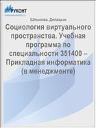 Социология виртуального пространства. Учебная программа по специальности 351400 – Прикладная информатика (в менеджменте)