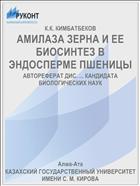 АМИЛАЗА ЗЕРНА И ЕЕ БИОСИНТЕЗ В ЭНДОСПЕРМЕ ПШЕНИЦЫ