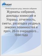 Журналы собраний, доклады комиссий и Управы, отчетность, сметы, раскладка уездных земских повинностей и проч. 20-го очередного... 1884 года