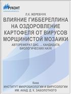 ВЛИЯНИЕ ГИББЕРЕЛЛИНА НА ОЗДОРОВЛЕНИЕ КАРТОФЕЛЯ ОТ ВИРУСОВ МОРЩИНИСТОЙ МОЗАИКИ