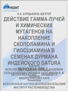 ДЕЙСТВИЕ ГАММА-ЛУЧЕЙ И ХИМИЧЕСКИХ МУТАГЕНОВ НА НАКОПЛЕНИЕ СКОПОЛАМИНА И ГИОСЦИАМИНА В СЕМЕНАХ ДУРМАНА ИНДЕЙСКОГО DATURA INHOXIA MILL.