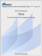 Чага
