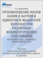 ПРОНИКНОВЕНИЕ ИОНОВ КАЛИЯ И НАТРИЯ В ОДИНОЧНОЕ МЫШЕЧНОЕ ВОЛОКНО ПРИ РАЗЛИЧНЫХ ФИЗИОЛОГИЧЕСКИХ СОСТОЯНИЯХ