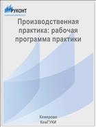 Производственная практика: рабочая программа практики